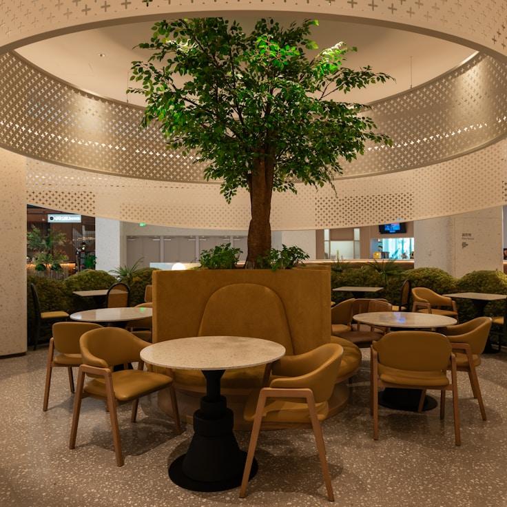 School choices for expat families in Seattle, United States